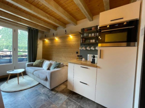 Chaleureux duplex rénové avec terrasse au Raffort, Pralognan - FR-1-464-240